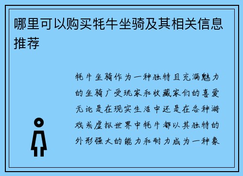 哪里可以购买牦牛坐骑及其相关信息推荐